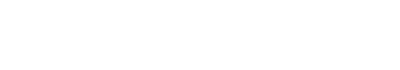 Bridge Web Host